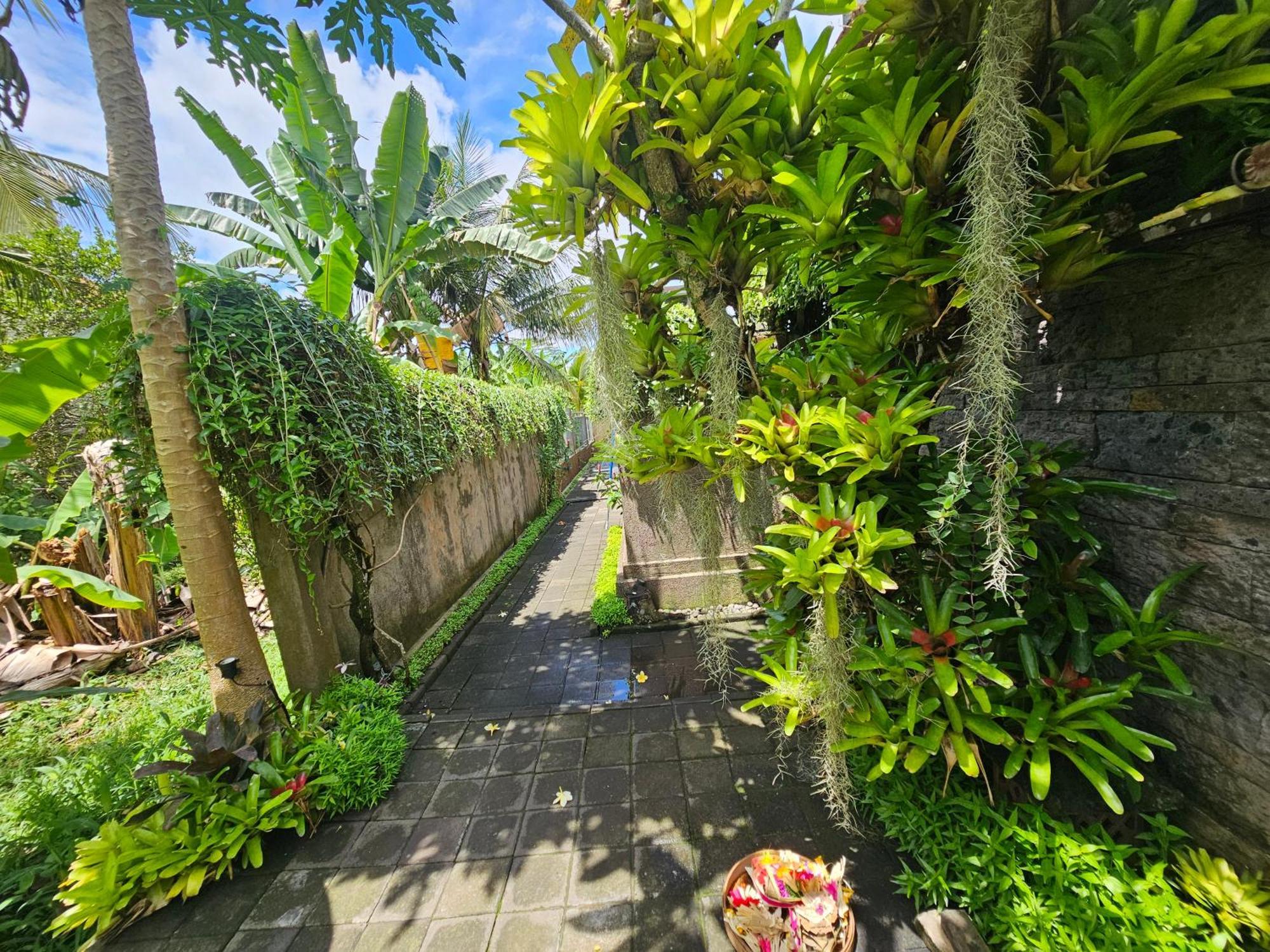 The Honeymoon In Ubud-bali Holiday home Ubud (Bali)